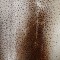 Food & Wine image 11