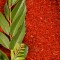 Food & Wine image 15